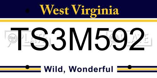 TS3M592 West Virginia License Plate