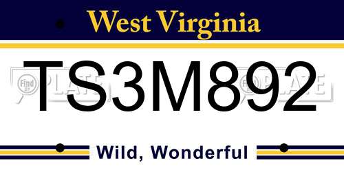 TS3M892 West Virginia License Plate