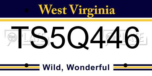 TS5Q446 West Virginia License Plate