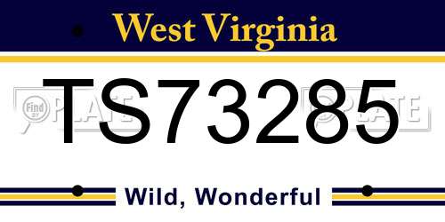 TS73285 West Virginia License Plate
