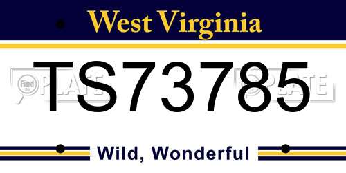 TS73785 West Virginia License Plate