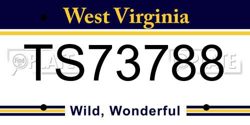 TS73788 West Virginia License Plate