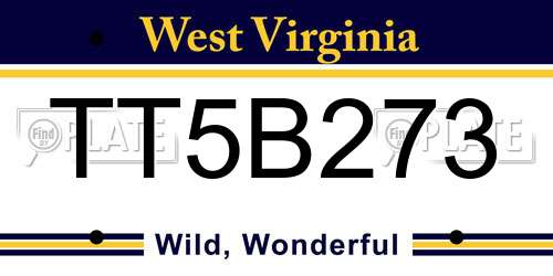 TT5B273 West Virginia License Plate