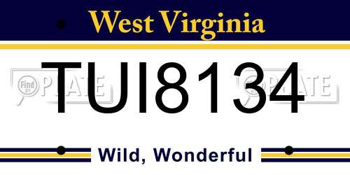 TUI8134 West Virginia License Plate