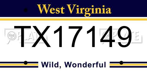 TX17149 West Virginia License Plate