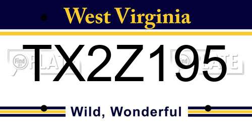 TX2Z195 West Virginia License Plate