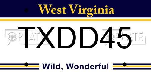 TXDD45 West Virginia License Plate