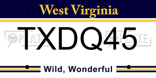 TXDQ45 West Virginia License Plate