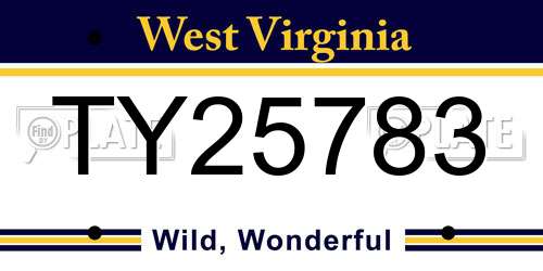TY25783 West Virginia License Plate