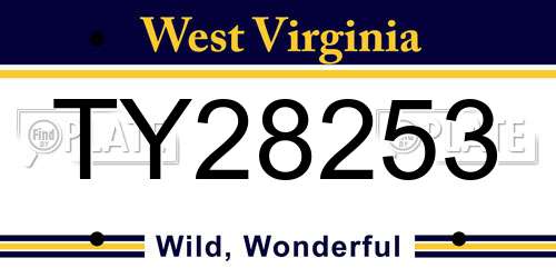 TY28253 West Virginia License Plate