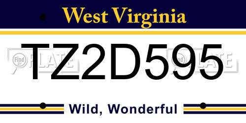 TZ2D595 West Virginia License Plate