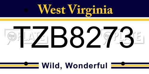 TZB8273 West Virginia License Plate