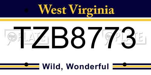 TZB8773 West Virginia License Plate