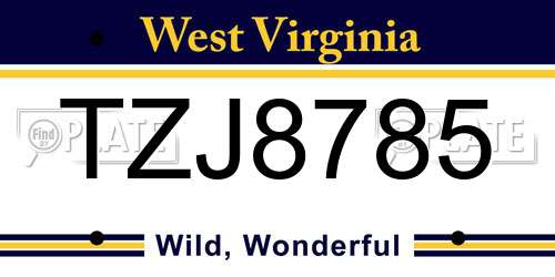TZJ8785 West Virginia License Plate