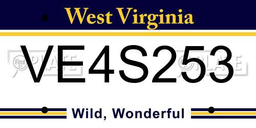 VE4S253 West Virginia License Plate