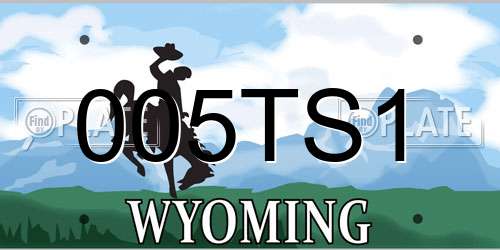 005TS1 Wyoming License Plate