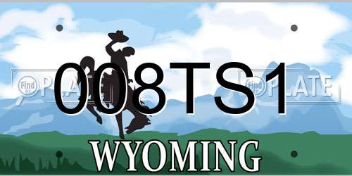 008TS1 Wyoming License Plate