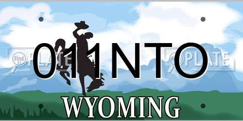 011NTO Wyoming License Plate