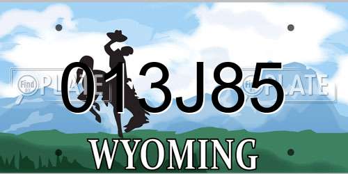 013J85 Wyoming License Plate