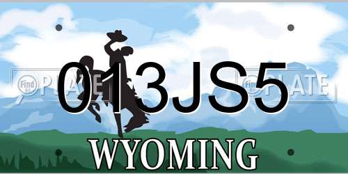 013JS5 Wyoming License Plate