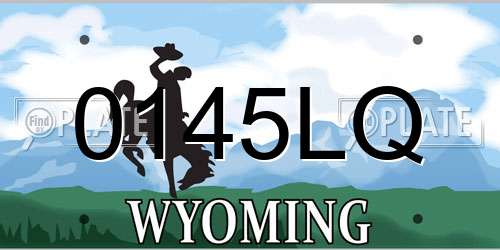 0145LQ Wyoming License Plate