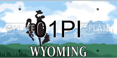 01PI Wyoming License Plate