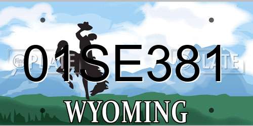 01SE381 Wyoming License Plate