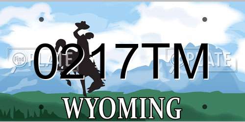 0217TM Wyoming License Plate