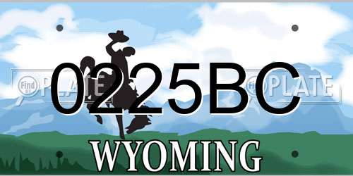 0225BC Wyoming License Plate
