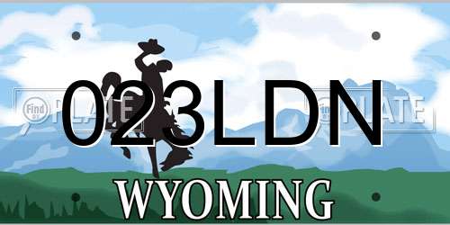 023LDN Wyoming License Plate