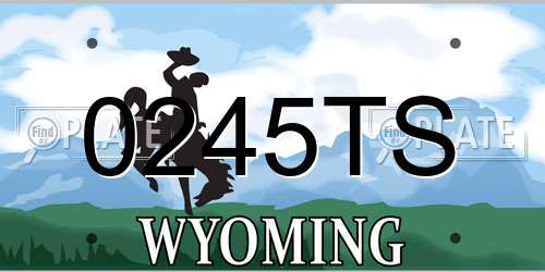 0245TS Wyoming License Plate