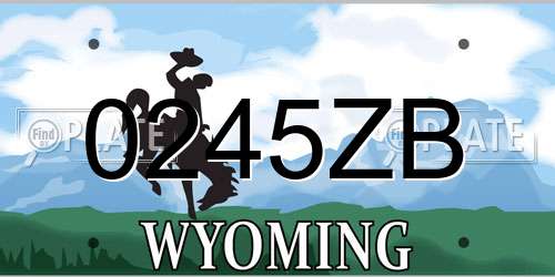 0245ZB Wyoming License Plate