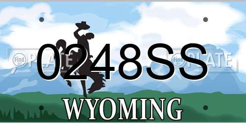 0248SS Wyoming License Plate