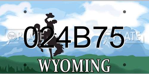 024B75 Wyoming License Plate