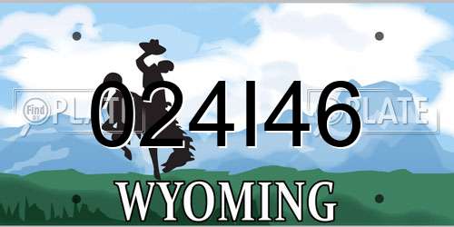 024I46 Wyoming License Plate