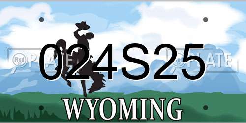 024S25 Wyoming License Plate