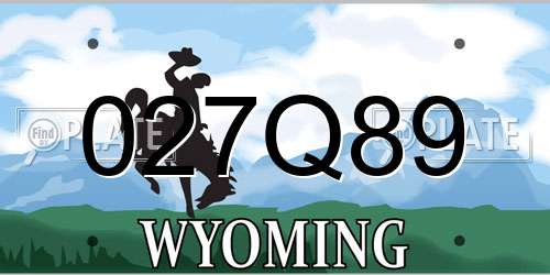 027Q89 Wyoming License Plate
