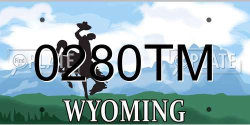 0280TM Wyoming License Plate