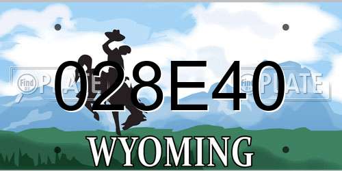 028E40 Wyoming License Plate