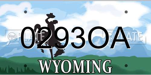0293OA Wyoming License Plate