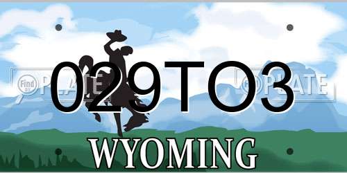 029TO3 Wyoming License Plate