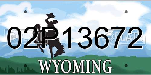 02P13672 Wyoming License Plate
