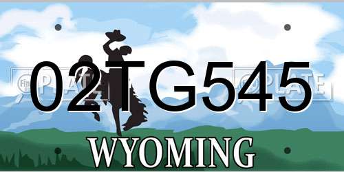 02TG545 Wyoming License Plate