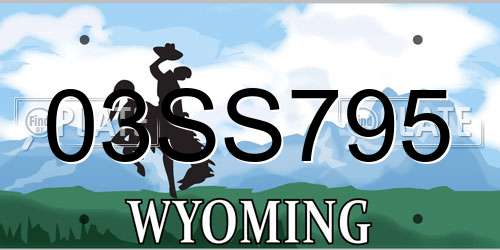 03SS795 Wyoming License Plate