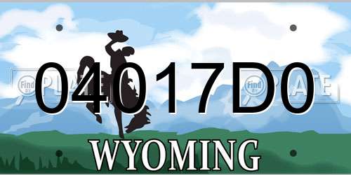 04017D0 Wyoming License Plate