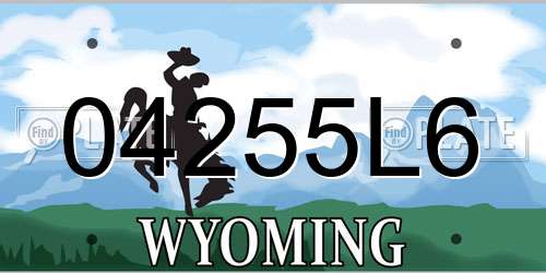 04255L6 Wyoming License Plate