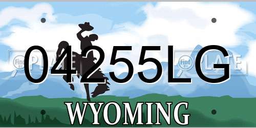 04255LG Wyoming License Plate