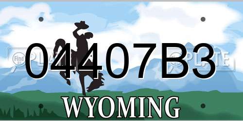 04407B3 Wyoming License Plate