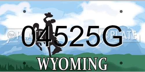 04525G Wyoming License Plate