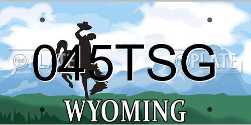 045TSG Wyoming License Plate